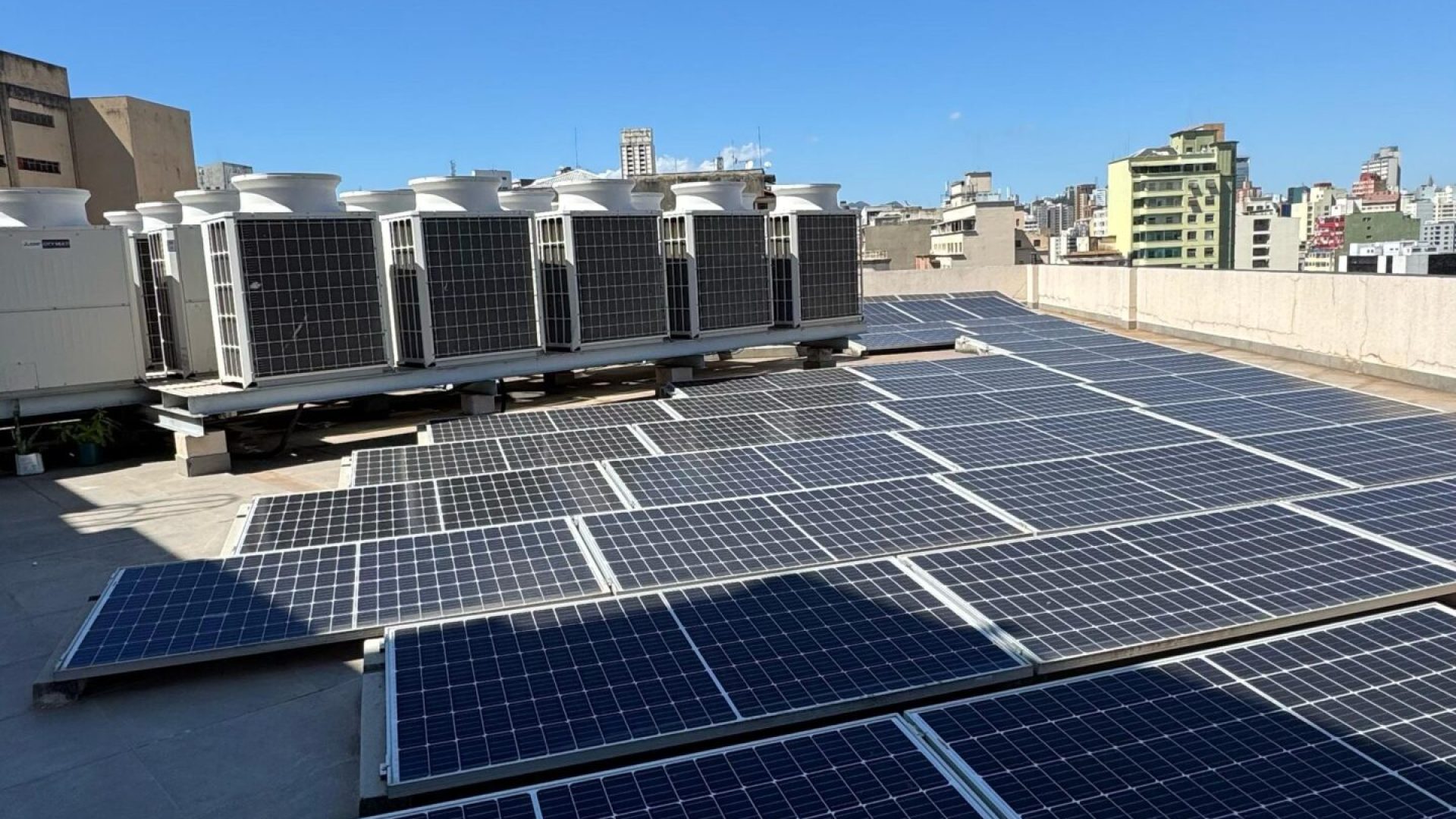 WhatsApp Image 2025-02-18 at 12.41.23